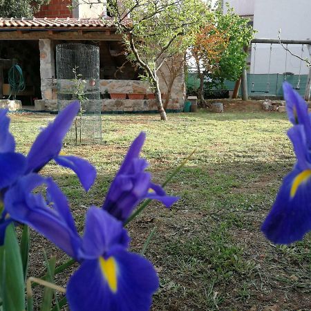 Apartments Gorka Водице Экстерьер фото